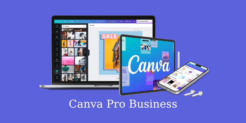 Canva Business - 6 Ay - Maile Davet